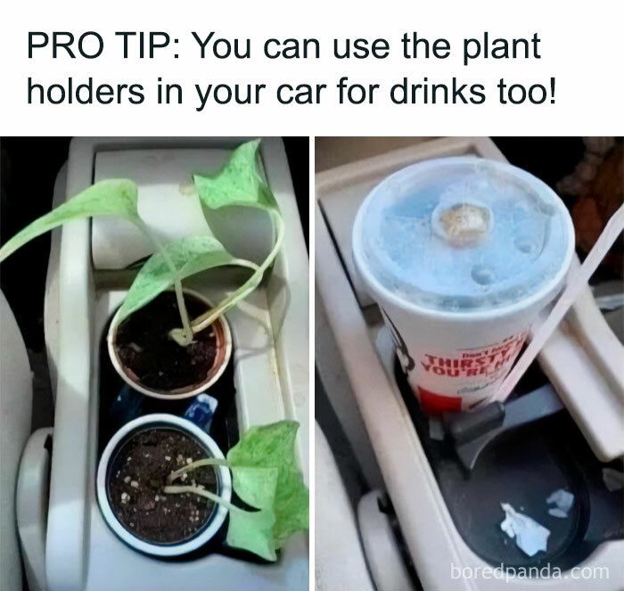 Gardening-Humour-Memes
