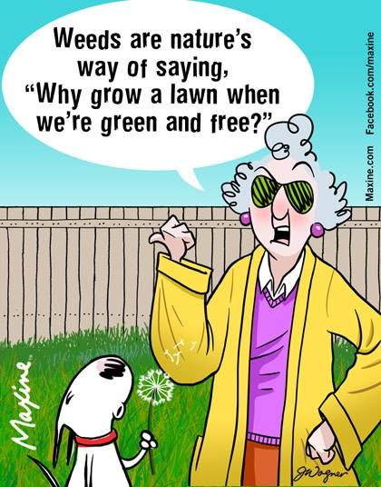 Maxine