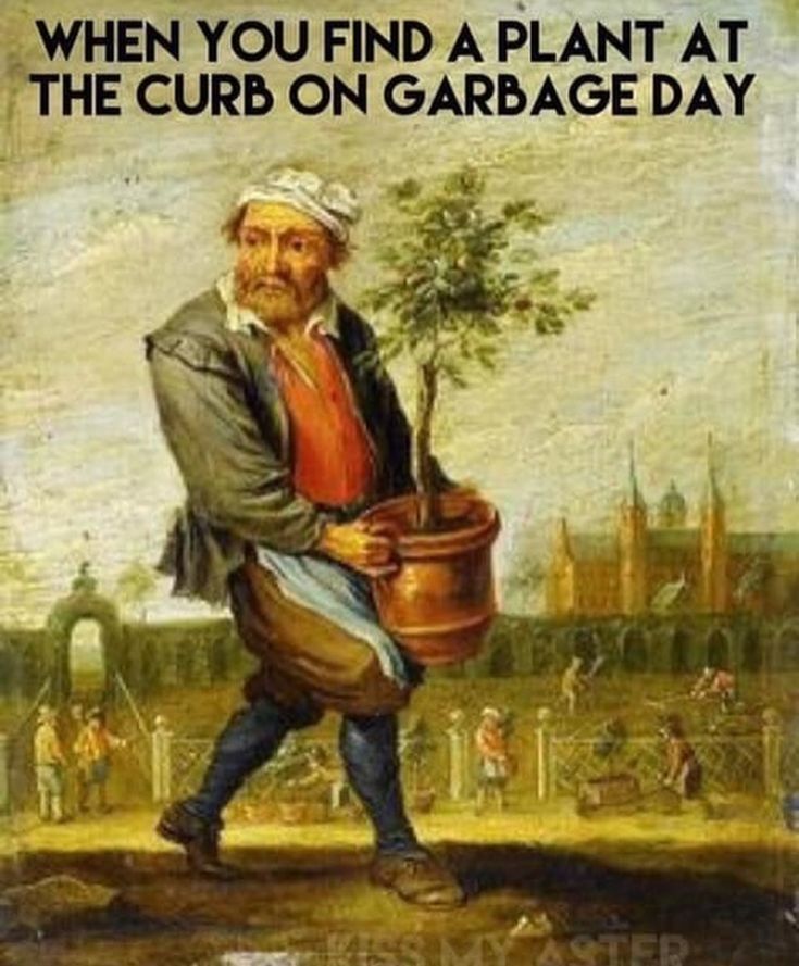 28 Funny Memes For Plant Lovers