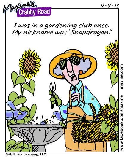 Maxine’s garden club