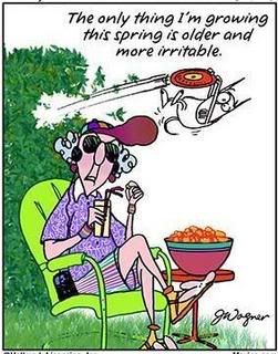 Maxine