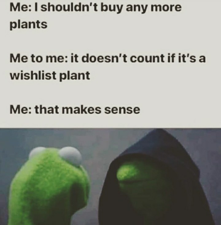 60 Plant Memes For You To Dig Through
