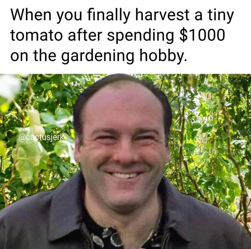 Funny Memes For Plant Moms and Dads