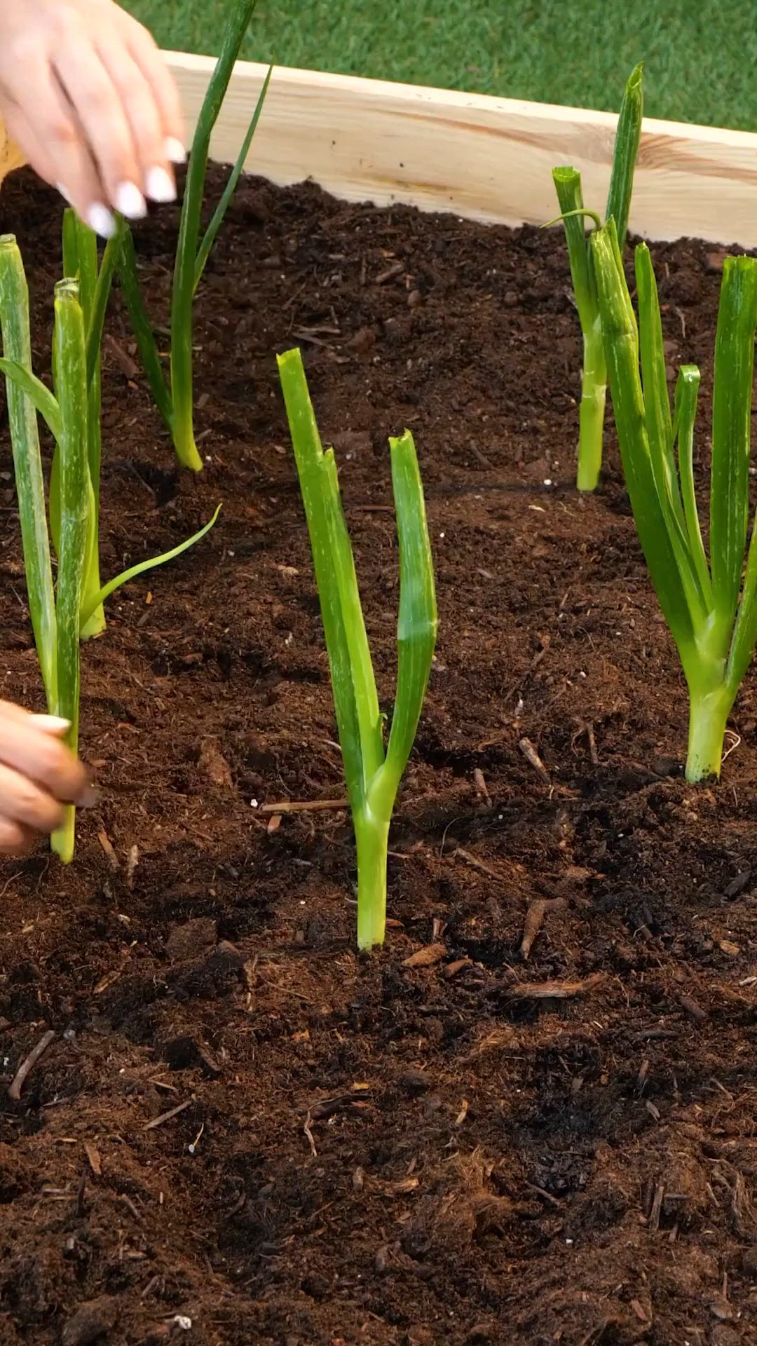 Simple garden hacks that really work