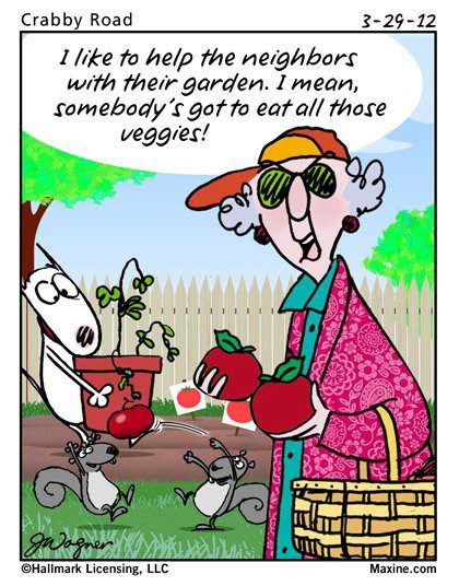 Maxine….she is so thoughtful!