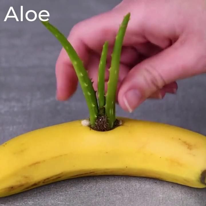 Crazy planting tips that work!