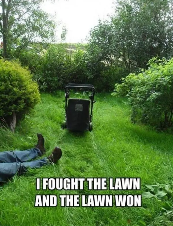 30 Gardening Memes That Will Make You Want To Garden Right Now