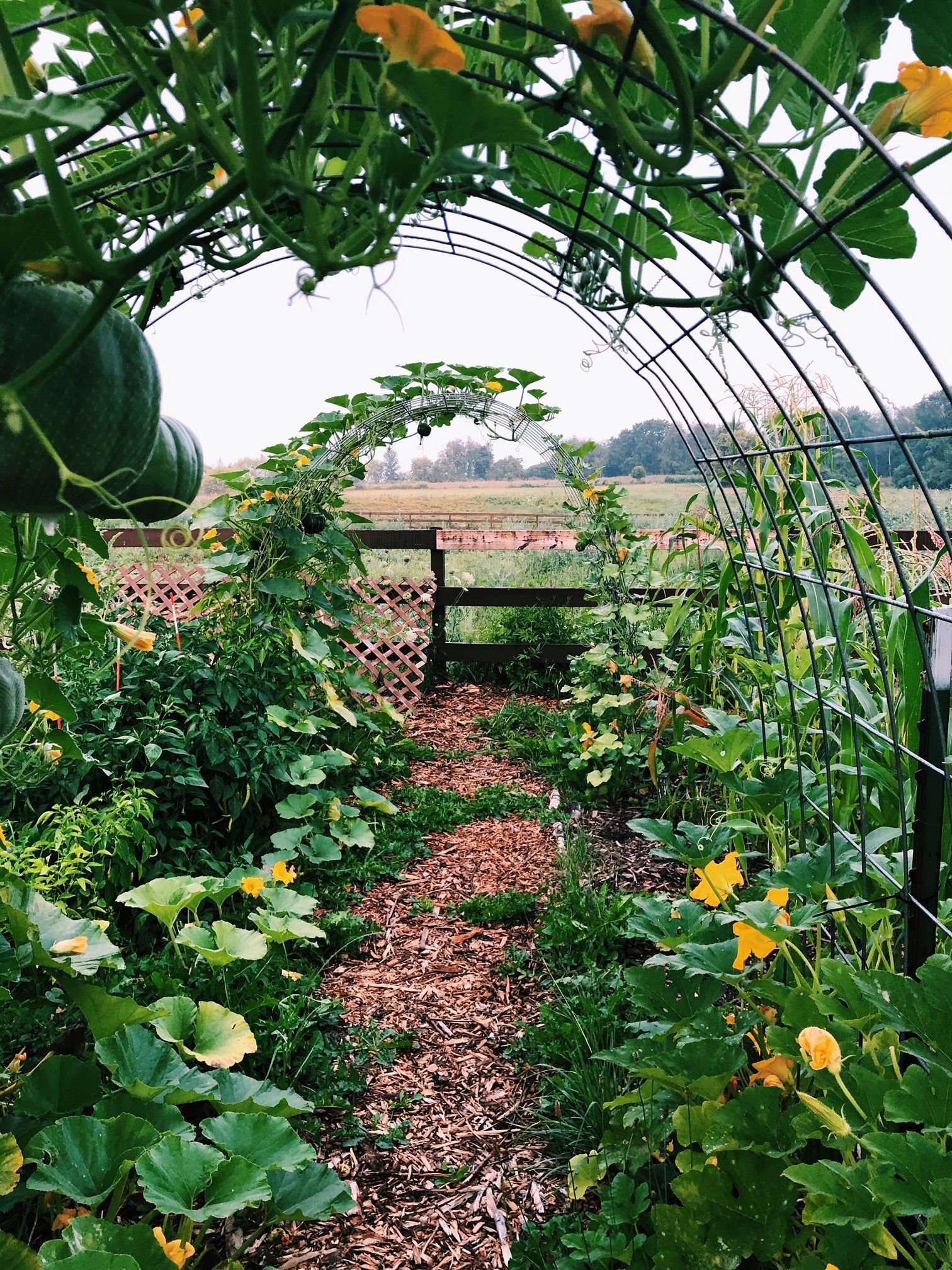 How to Prepare Your Garden for Spring Planting