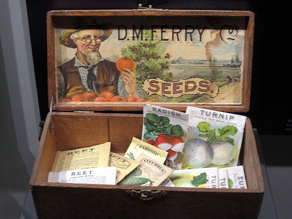 D.M. Ferry & Co. retail display seed box. D.M. Ferry invented seed “commission b…