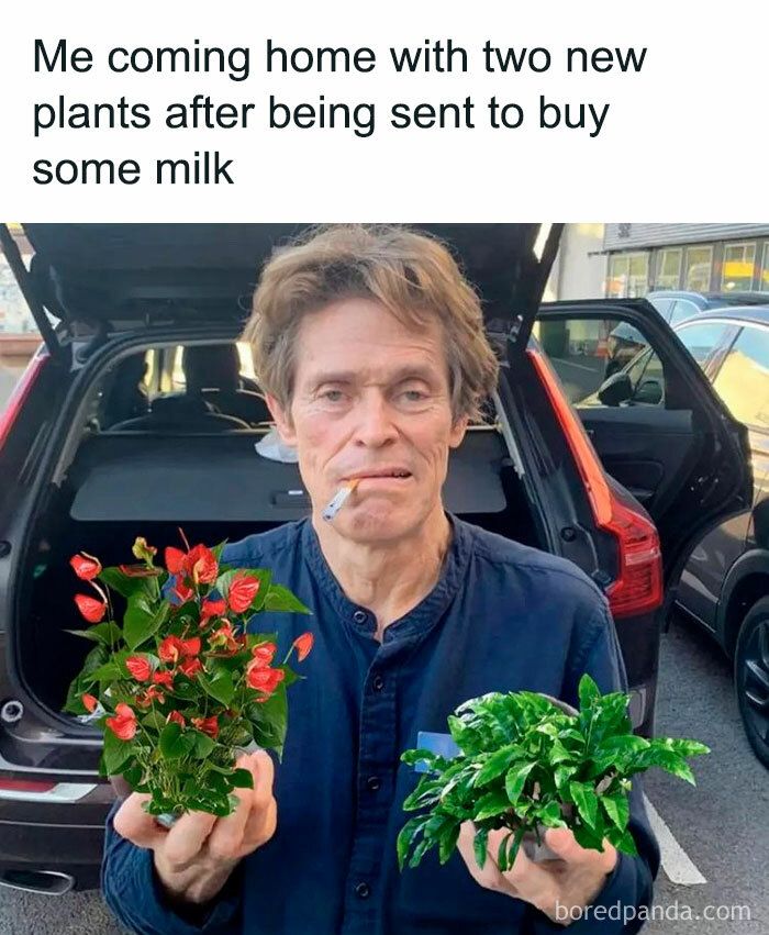 30 Hilarious Memes That Might Hit Too Close To Home For People Who Can’t Just Go Past A Plant