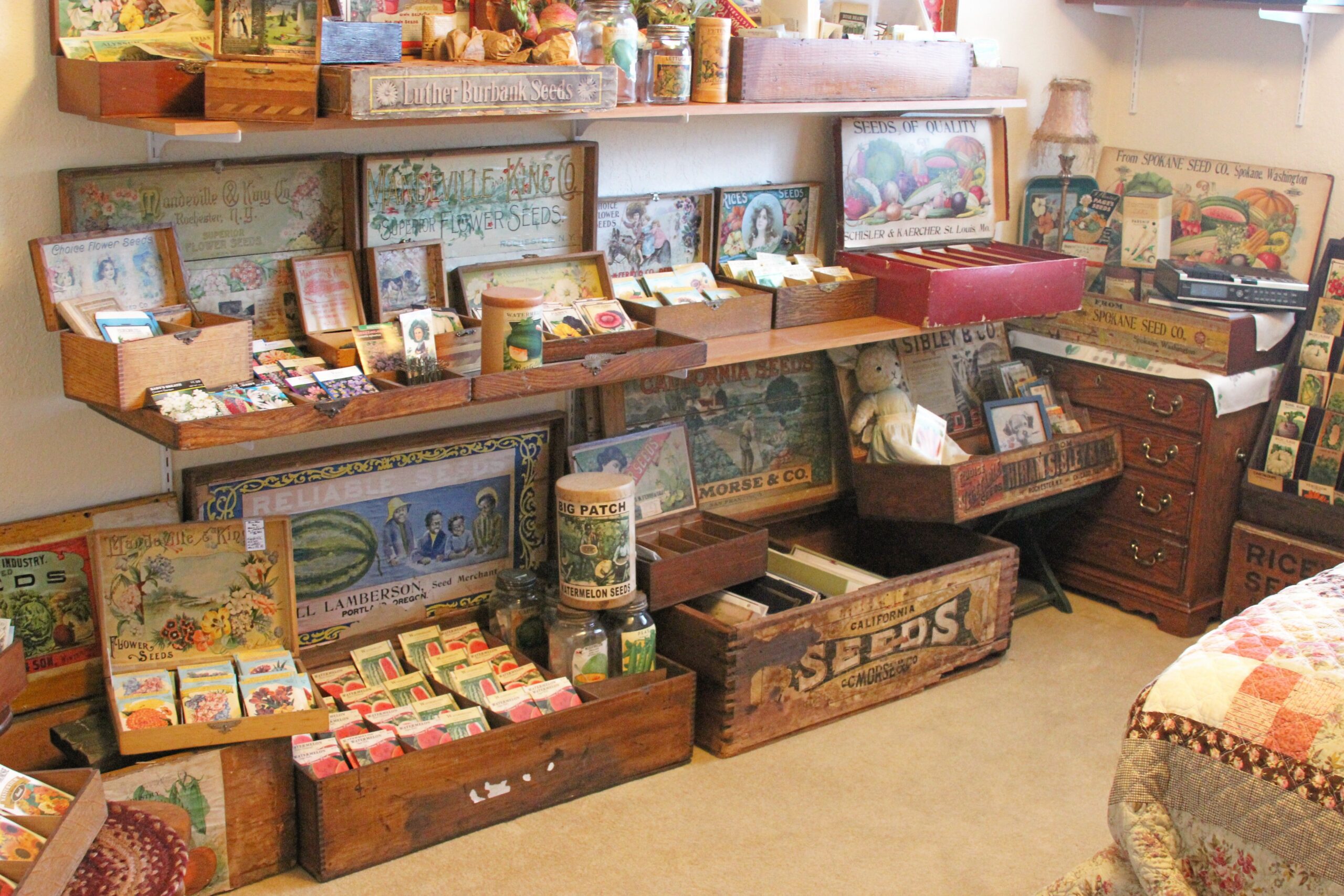 Love seed boxes!