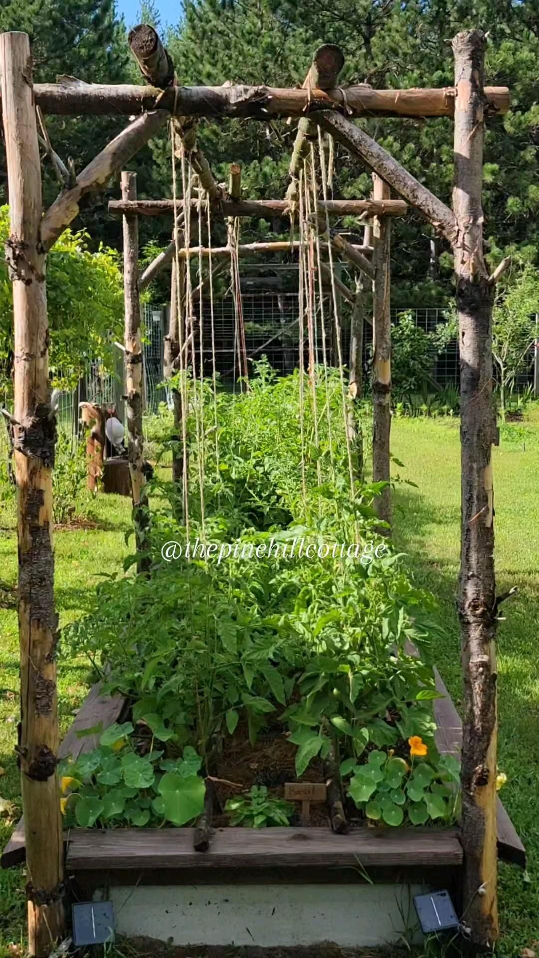 Vertical Gardening
