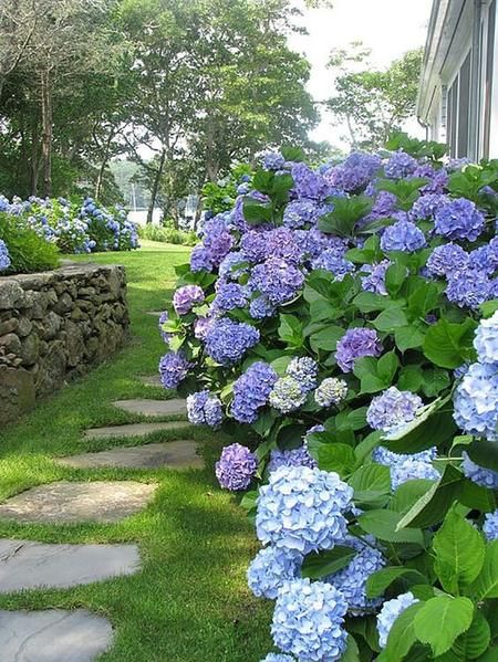 8 ways to create your French garden
