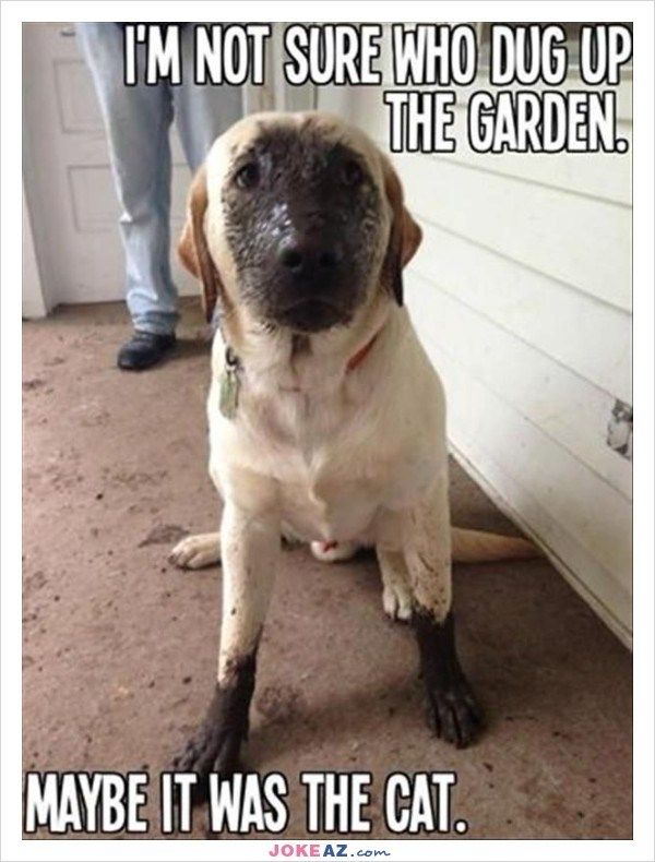 30 Gardening Memes That Will Make You Want To Garden Right Now
