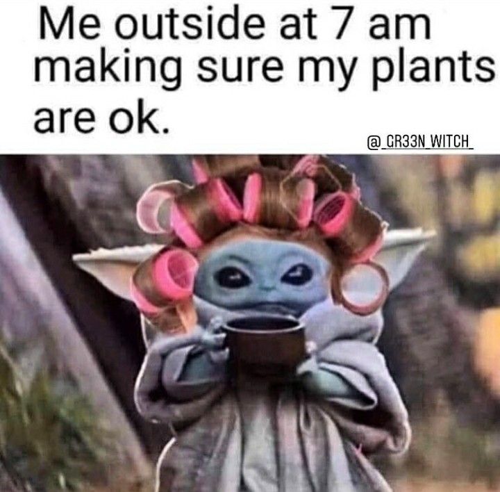 60 Plant Memes For You To Dig Through