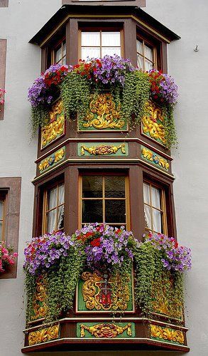 Window Boxes