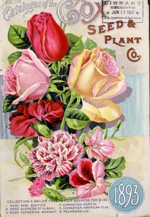 The Lotus and the Rose