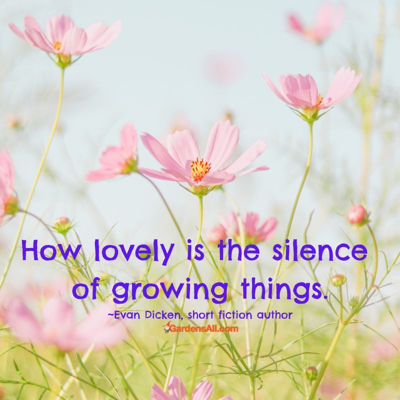 Garden Memes and Sayings for Fun and Inspiration GardensAll GARDENING