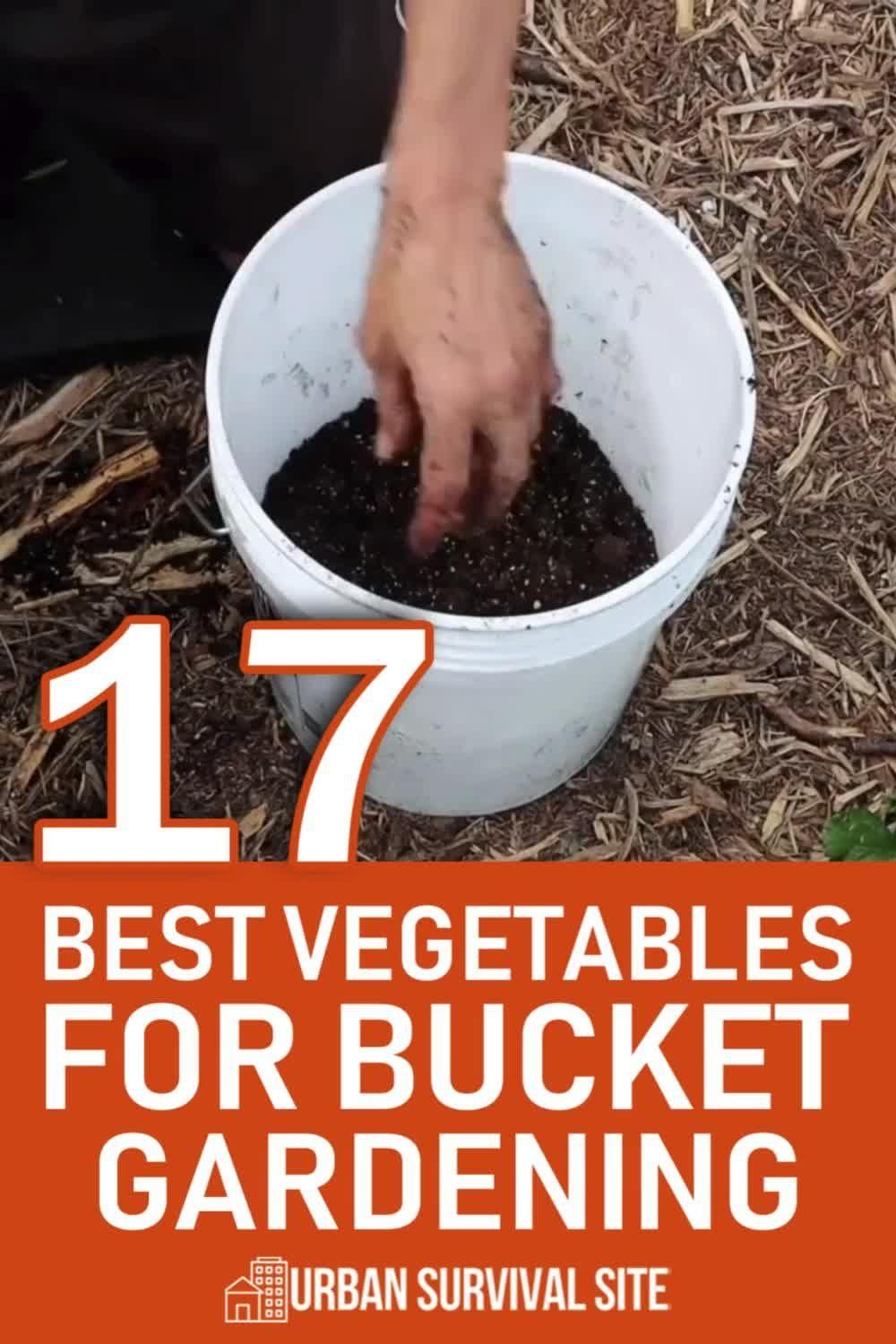 17 Best Vegetables for Bucket Gardening