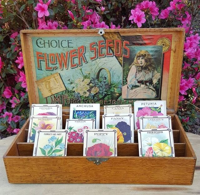 I love this vintage seed box especially because it’s dovetailed, contains vintag…