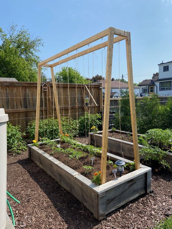 Tomato Trellis DIY Tomato Trellis System Instant Download Imperial & Metric