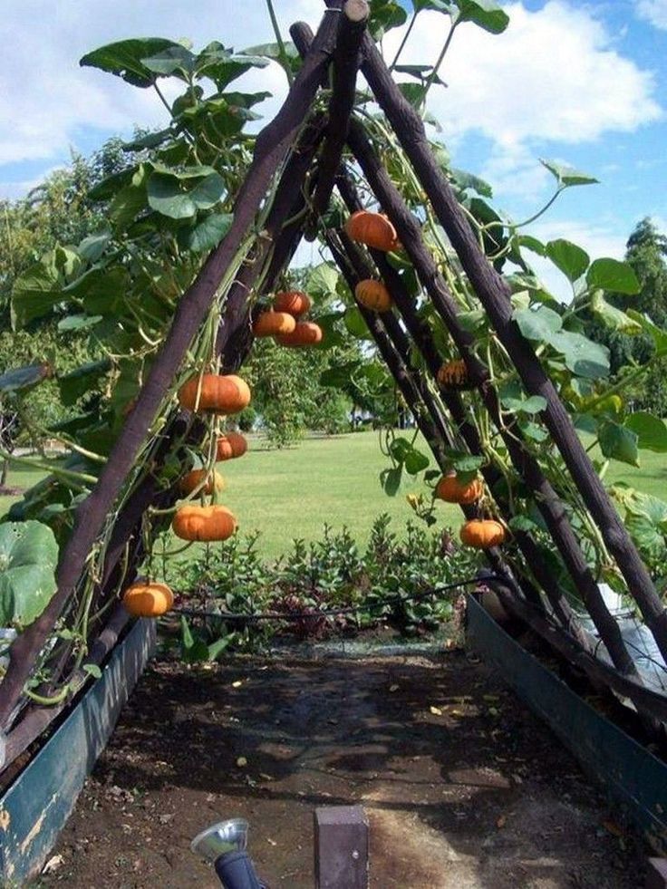 Jüngstes Hochbeet-Gartenholz nur in Kennys Landschaftsgestaltung