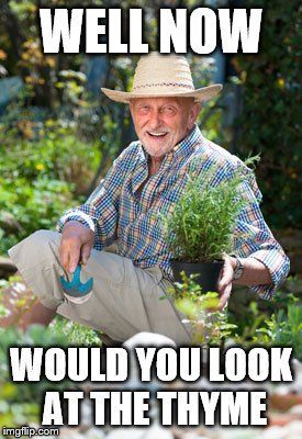 30 Gardening Memes That Will Make You Want To Garden Right Now
