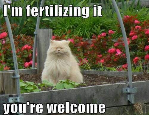 30 Gardening Memes That Will Make You Want To Garden Right Now