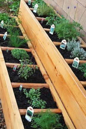Container Herb Gardens + Herb Garden Ideas | Family Food Garden