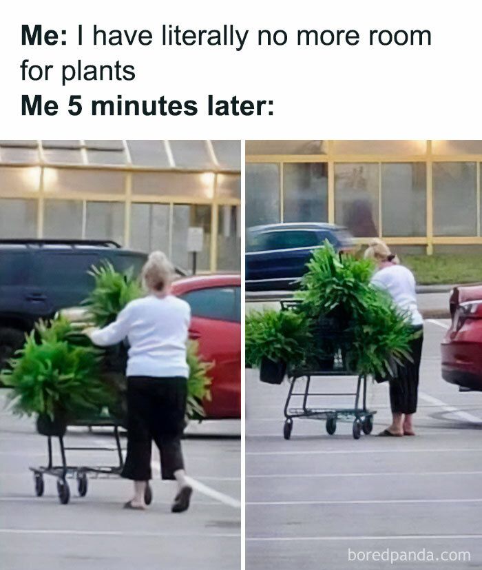 Gardening-Humour-Memes