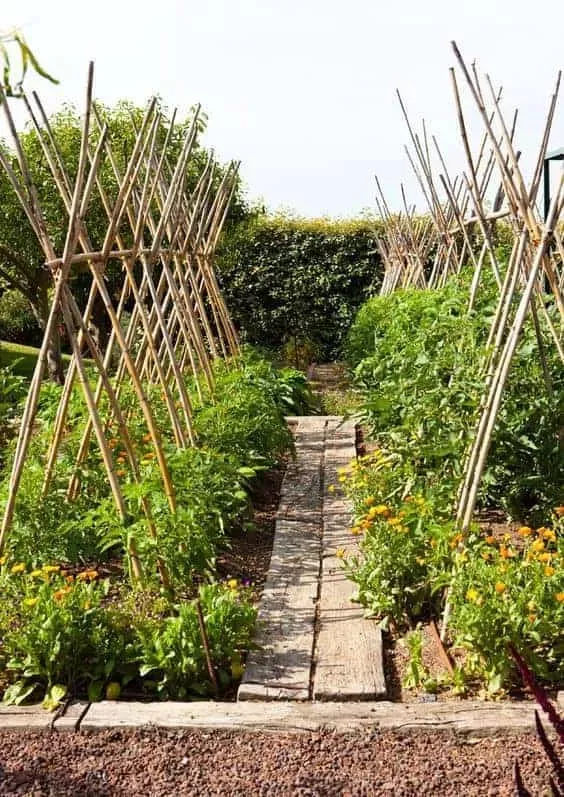 Best Tomato Trellises & Tomato Cages | Family Food Garden