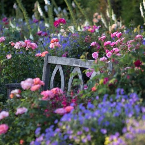– lamaisongraygarden:  🌞Summer Solstice 🌞