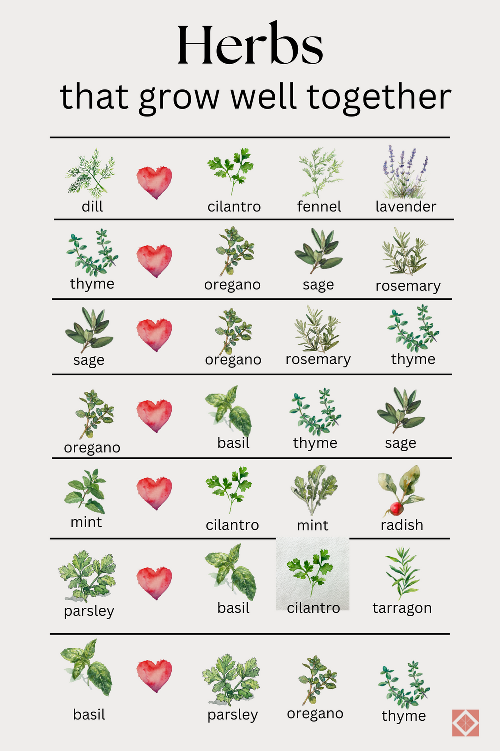 Companion Planting Guide: The Best Herbs to Grow Together 🌿🪴