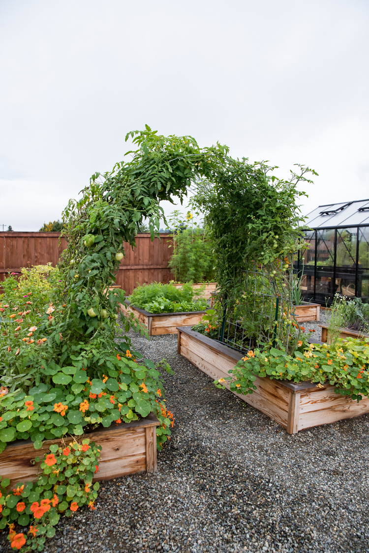 Raised Bed Garden Arch Trellis