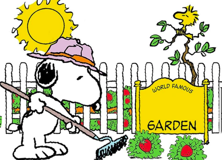 Snoopy 4ever
