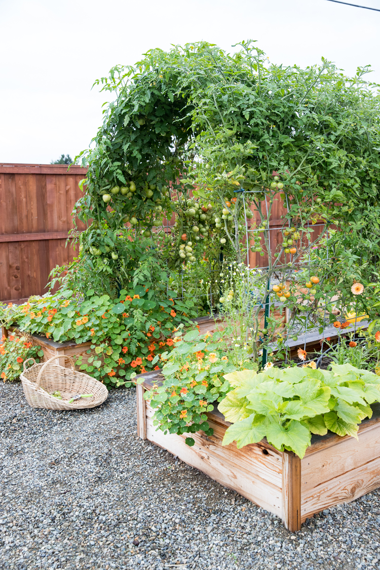 Raised Bed Garden Arch Trellis