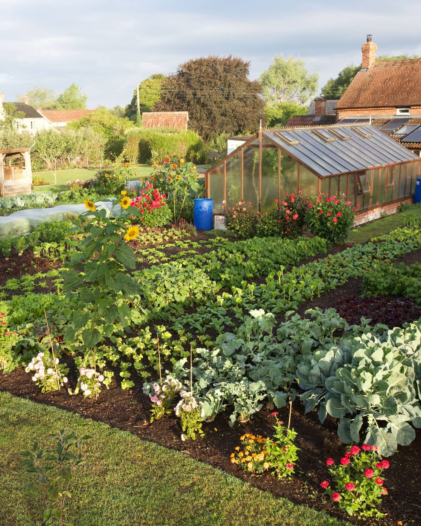 I (Basically) Stopped Weeding Thanks to This Game-Changing Gardening Method