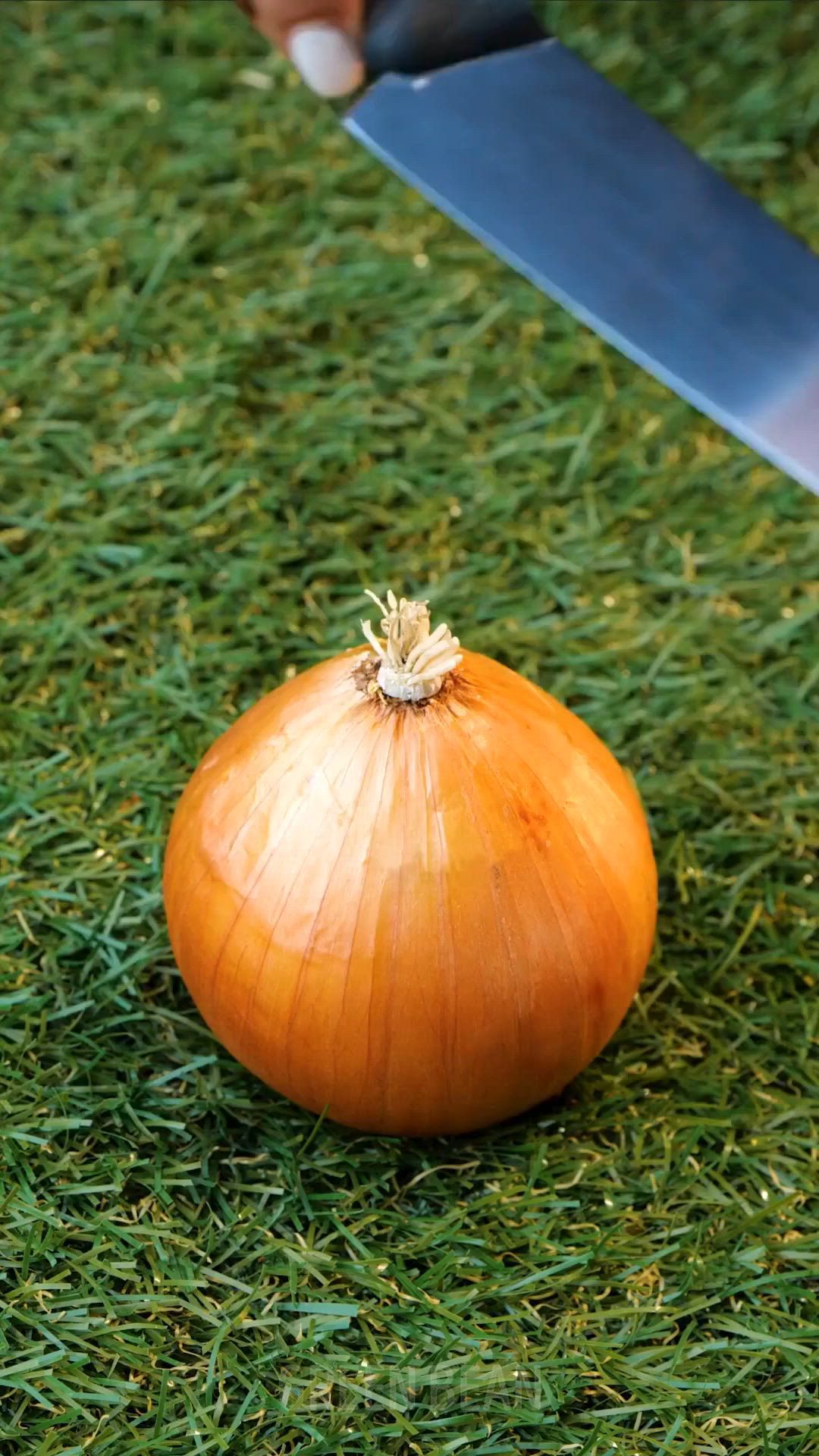 Try these garden hacks and be surprised by the results!