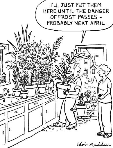 Garden joke