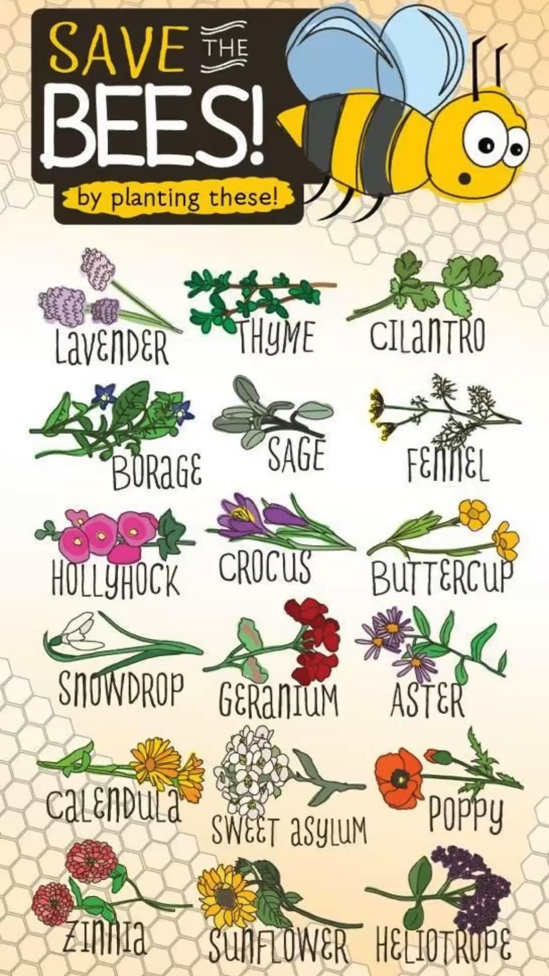 Please save the 🐝