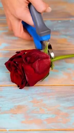 #craft #DIY #handmade #homedecor