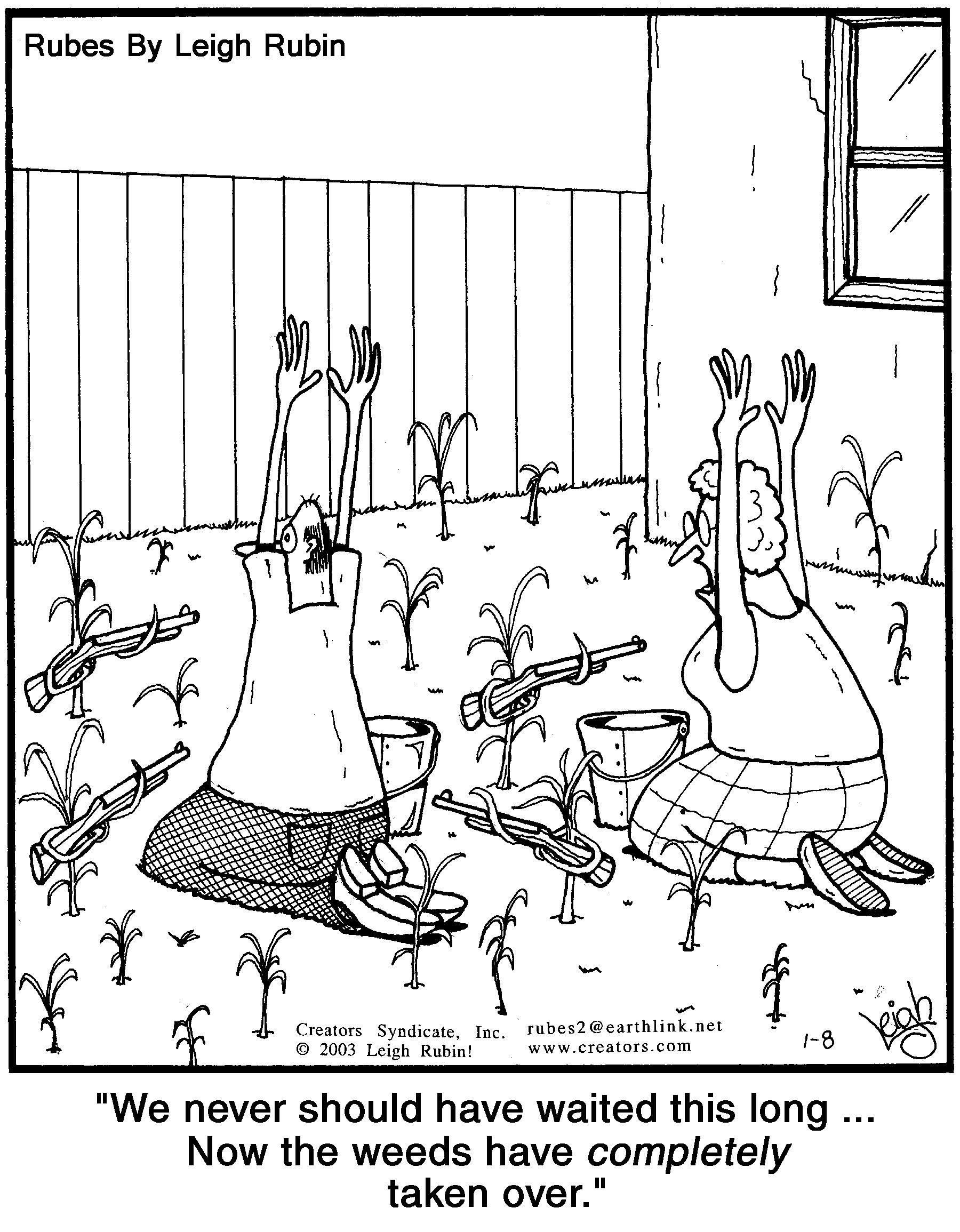 We never should have waited this long… Now the weeds have completely taken ove…