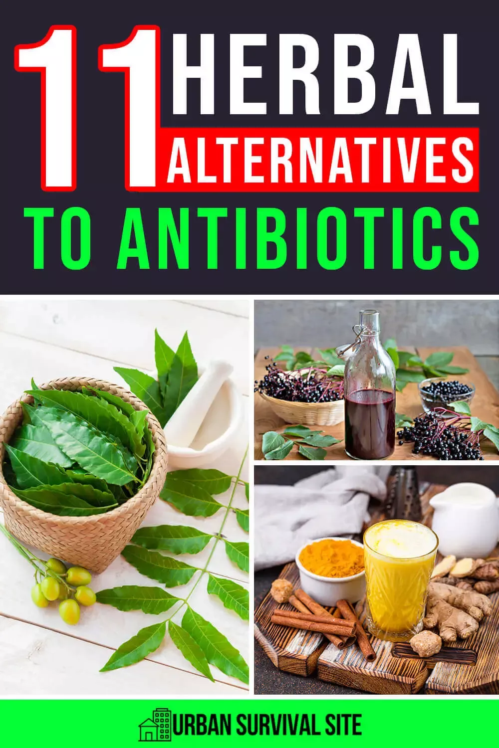 11 Herbal Alternatives to Antibiotics