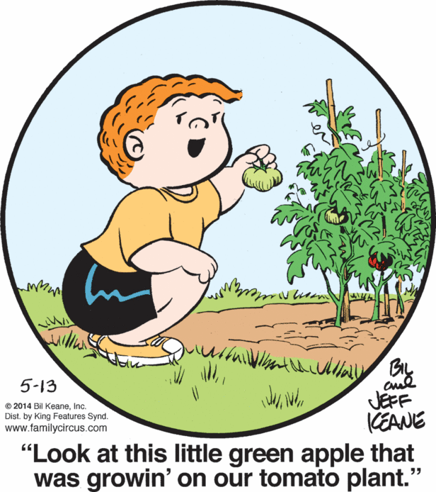 The Family Circus Comic Strip 2024-06-22 | Comics Kingdom