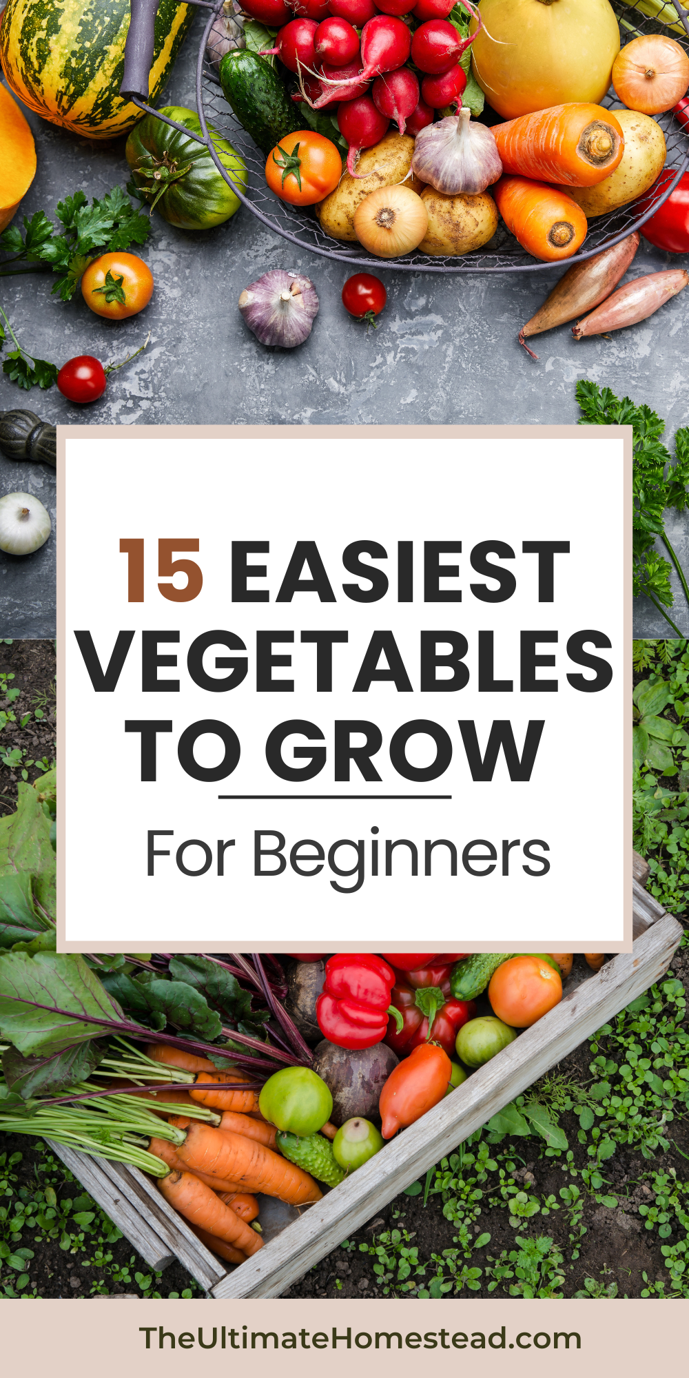 15 Hardy Vegetables To Grow: Gardening Guide For Beginners