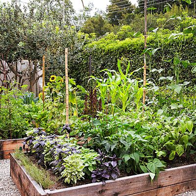 Ideas for Raised Garden Beds