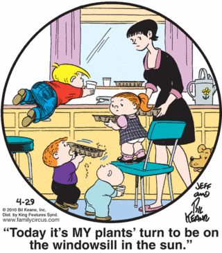 Family Circus