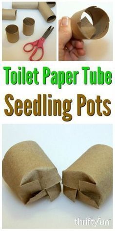 Garden Seed Starting Ideas: 10 Ways You Must Try