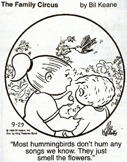 Family Circus Cartoon