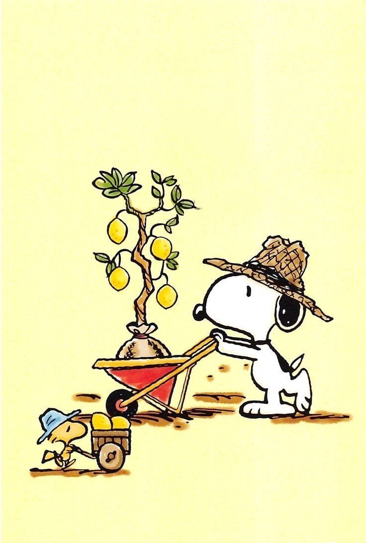 Gardeners at work